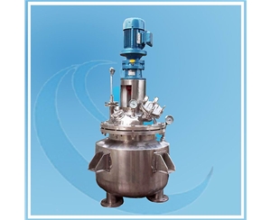 中試電加熱反應(yīng)釜