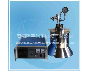 高壓實(shí)驗(yàn)室釜配PID